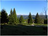 Bitenjska planina - Ribčeva planina